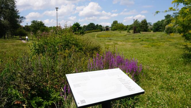 Lublin. „Filary porośnięte bluszczem” i nie tylko. Park Jana Pawła II w lipcowej odsłonie