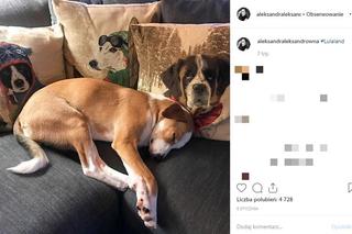 Aleksandra Kwaśniewska