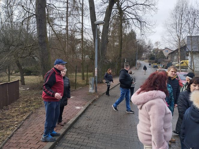 Kontrowersyjna wycinka drzew pod trasę N-Ś w Rudzie Śląskiej. Mieszkańcy: "to jest fałszerstwo na duża skalę, to skandal"