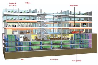 Ilustracyjny widok adaptacji nieużywanego domu towarowego, gdzie uprawa żywności staje się motorem rewitalizacji