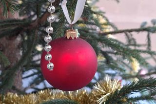 Udekorowana choinka stanęła na środku rzeki w Kaliszu