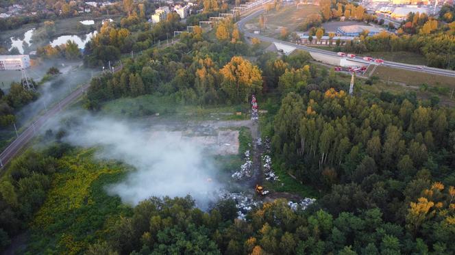 Pożar dzikiego wysypiska śmieci w Dąbrowie Górniczej