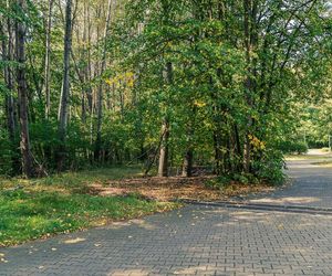 Białystok buduje Park Bioróżnorodności