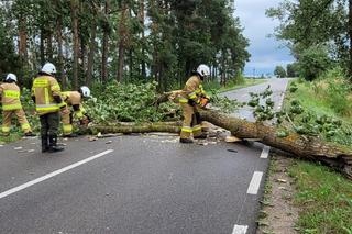 Wichury w Podlaskiem. Setki interwencji strażaków w całym regionie