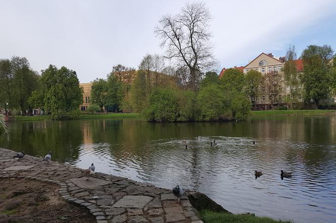 Gorzów park róż