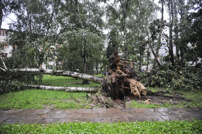 Nawałnica w WARSZAWIE: Ulice pod wodą, połamane drzewa – paraliż komunikacyjny