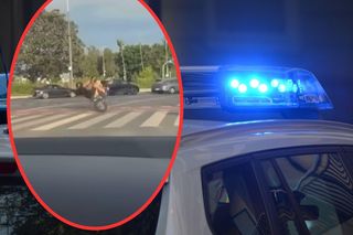 Motocyklista bez tablicy sieje postrach w Poznaniu. Policja publikuje nagranie i apeluje o pomoc [WIDEO]