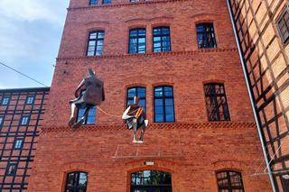 Zachwycające rzeźby Jerzego Kędziory balansują nad miastem. W Bydgoszczy trwa niecodzienna wystawa