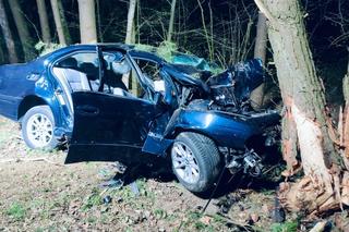 BMW uderzyło w drzewo. Nie żyje dwóch 20-latków