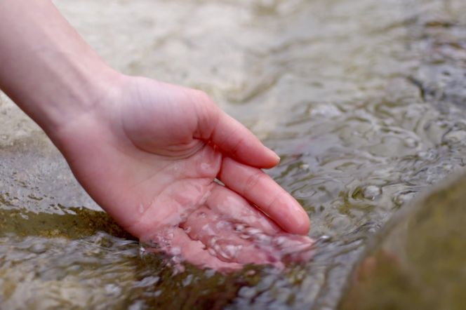 Tatry: napiła się wody ze strumienia i prawie umarła. Zagrożenie nie tylko w Słowacji