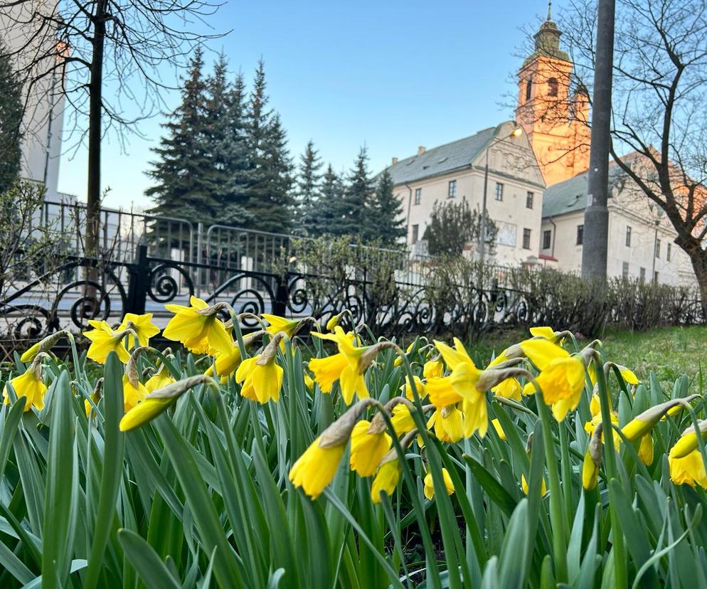 Lublin sprząta po zimie. Miasto ruszyło z coroczną akcją