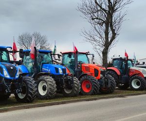 Rolnicy wyszli na ulice. Rozpoczął się protest w woj. łódzkim. „Opłacalność jest na krytycznym poziomie”