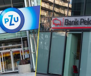  PZU i Bank Pekao bliżej fuzji