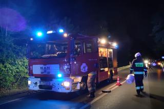 Poważny wypadek w Różankowie pod Toruniem. Samochód rozpadł się na dwie części