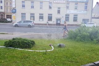 Kurtyny wodne ratują olsztynian w upale