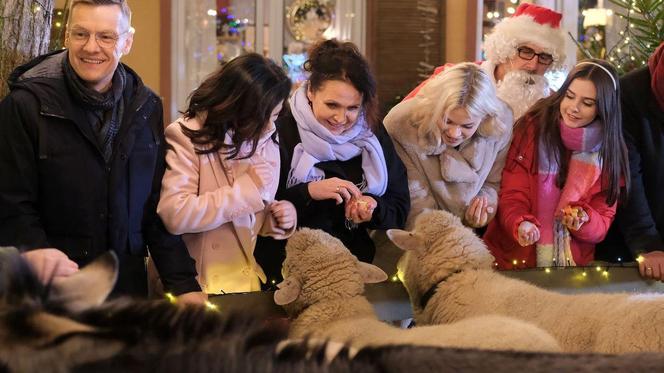 Święta w M jak miłość odcinek specjalny. Basia (Karina Woźniak), Ania (Gabriela Świerczyńska), Kinga (Katarzyna Cichopek), Piotrek (Marcin Mroczek), Marysia (Małgorzata Pieńkowska), Werner (Jacek Kopczyński)