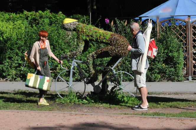 ELŻBIETA RAFALSKA - DAŁA PO "500" I ODPOCZYWA.