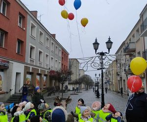 Jelonek stanął przy fontannie na ul. Długiej! Nowa atrakcja turystyczna Łomży poleca się do robienia zdjęć