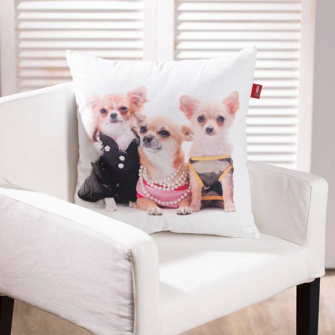 Zabawne poduszki z psami