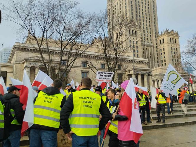 Protest rolników