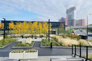 Atal Olimpijska w Katowicach