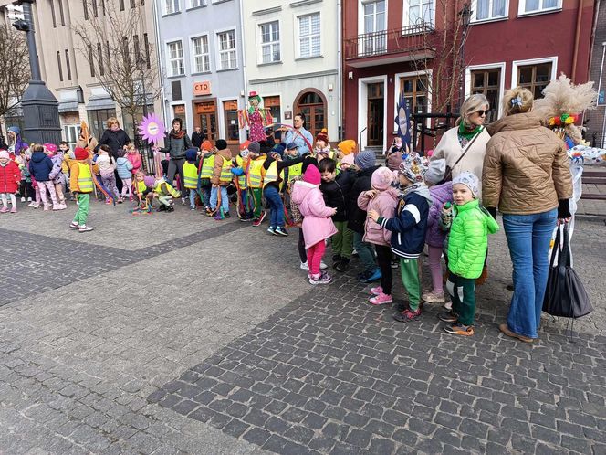 Przemarsz przedszkolaków z marzannami ulicami Grudziądza