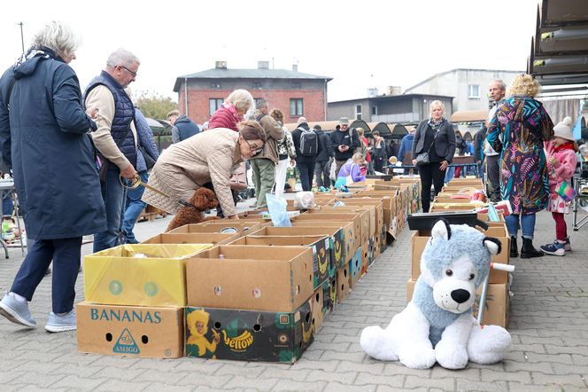 Tyski Jarmark Staroci jak zwykle przyciągnął tłumy