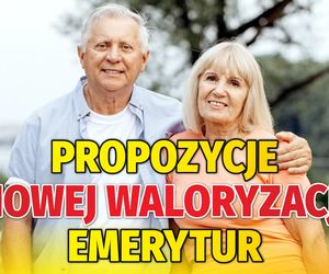 Waloryzacja