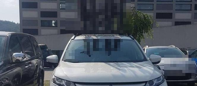 Reda: Potworna męczarnia kota w rozgrzanym aucie. Cierpiał wiele godzin. Policjanci wybili szybę pałką