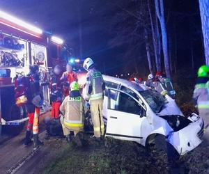 Pościg za kurierem migrantów. Auto uderzyło w drzewo. 5 osób w szpitalu