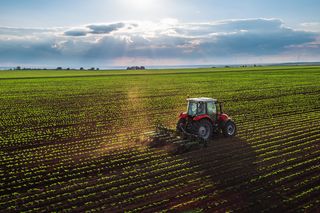 Rekordowe dopłaty dla rolników! Nawet 1864 zł za hektar. Ministerstwo ujawniło stawki