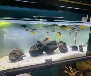 Rozmawiamy z Tomaszem Wiśniewskim, założycielem Aqua Dreams Bydgoszcz