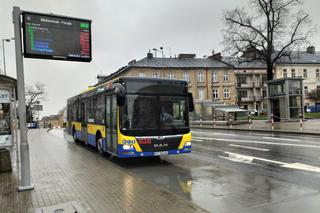 Tarnów: Od września nowy rozkład jazdy autobusów. Co się zmieni?