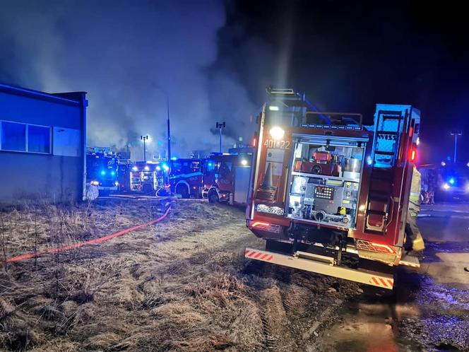 Pożar hali magazynowej w Sosnowcu przy ul. Wopistów. Płonie makulatura