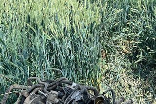 Śmiertelny wypadek na DK 38 pod Kędzierzynem-Koźlem. Policja ujawniła wstępną przyczynę tragedii [ZDJĘCIA].