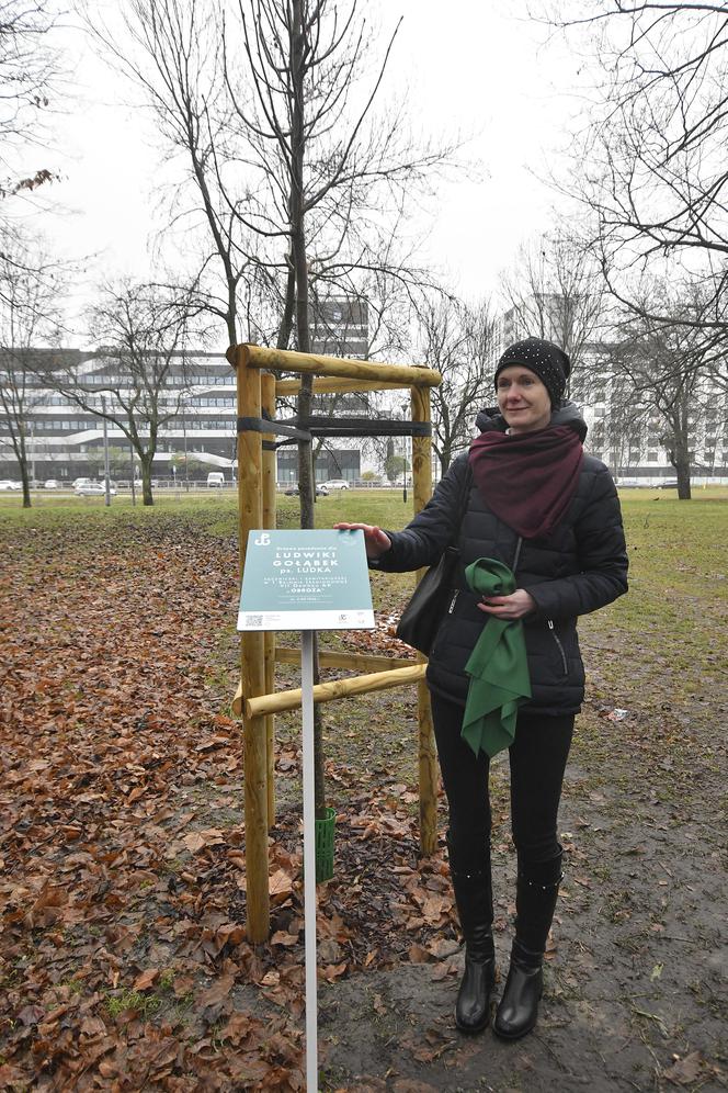 Powstańcy zapuścili korzenie. 20 drzew dla bohaterów w parku na Woli