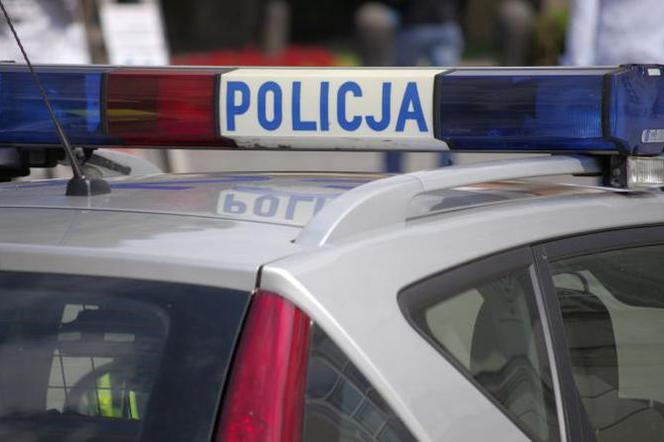 Tragedia na drodze w Bydgoszcz! Pod kołami audi zginął sześcioletni chłopiec