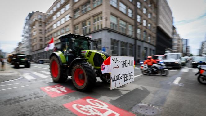 Protest rolników w Brukseli - 4 czerwca 2024 r.