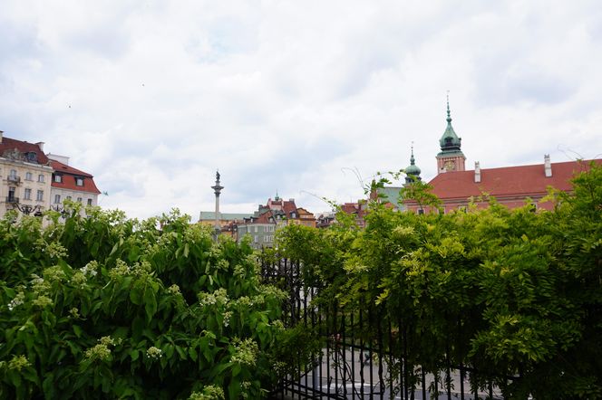 Ukryty ogród w Warszawie