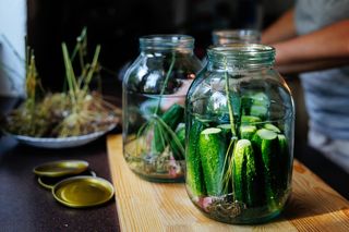 Podczas kiszenia ogórków o tym zapominamy, a to dzięki temu są twarde i chrupiące niczym paluszki. Jedna rzecz może odmienić smak. Kiszenie ogórków