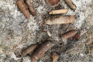 Śląskie: Rolnik dokonał szokującego odkrycia. Nieostrożność mogła go kosztować życie!