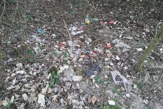 Śmieci w lasach - Siedlce