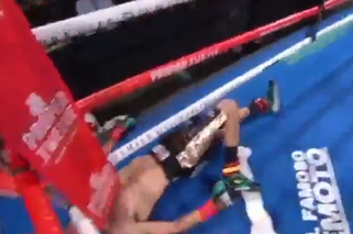 Brutalny nokaut w walce Gervonta Davis - Leo Santa Cruz