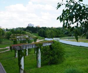 Lublin. „Filary porośnięte bluszczem” i nie tylko. Park Jana Pawła II w lipcowej odsłonie