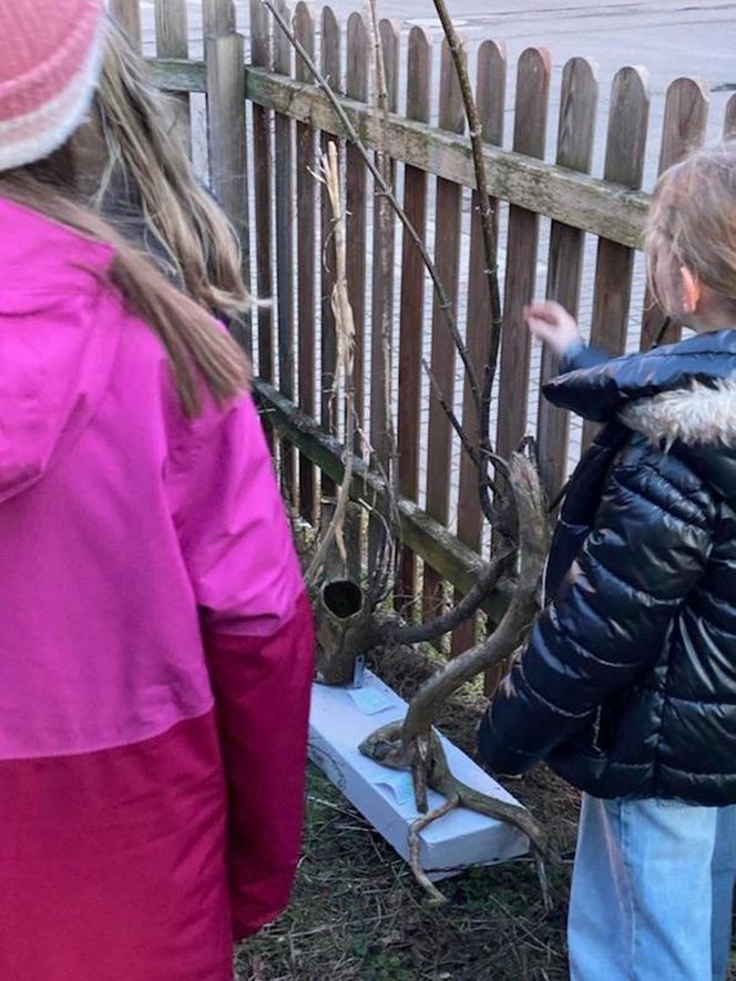 Muzeum Patyka w Toruniu