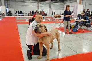 Międzynarodowa Wystawa Psów Rasowych w Targach Kielce