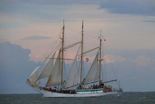 ParadaZagleGdyni2014_FotMZwierz_710425
