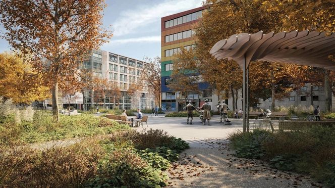Koncepcja przebudowy ulic na Starej Pradze autorstwa pracowni RS Architektura Krajobrazu