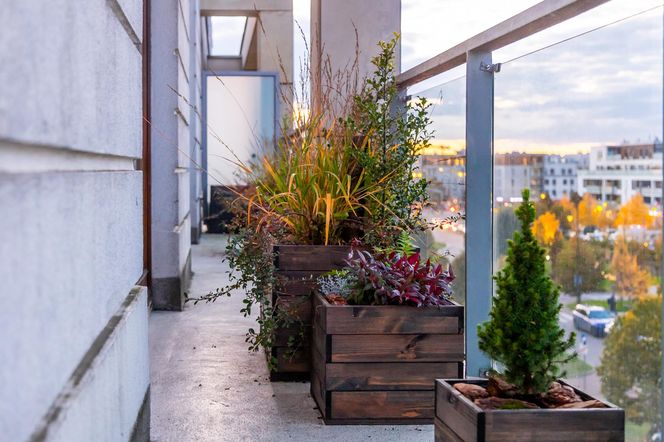 Jesienna metamorfoza balkonu