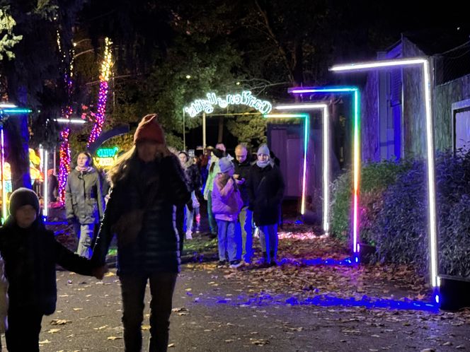 Garden of Lights we Wrocławiu